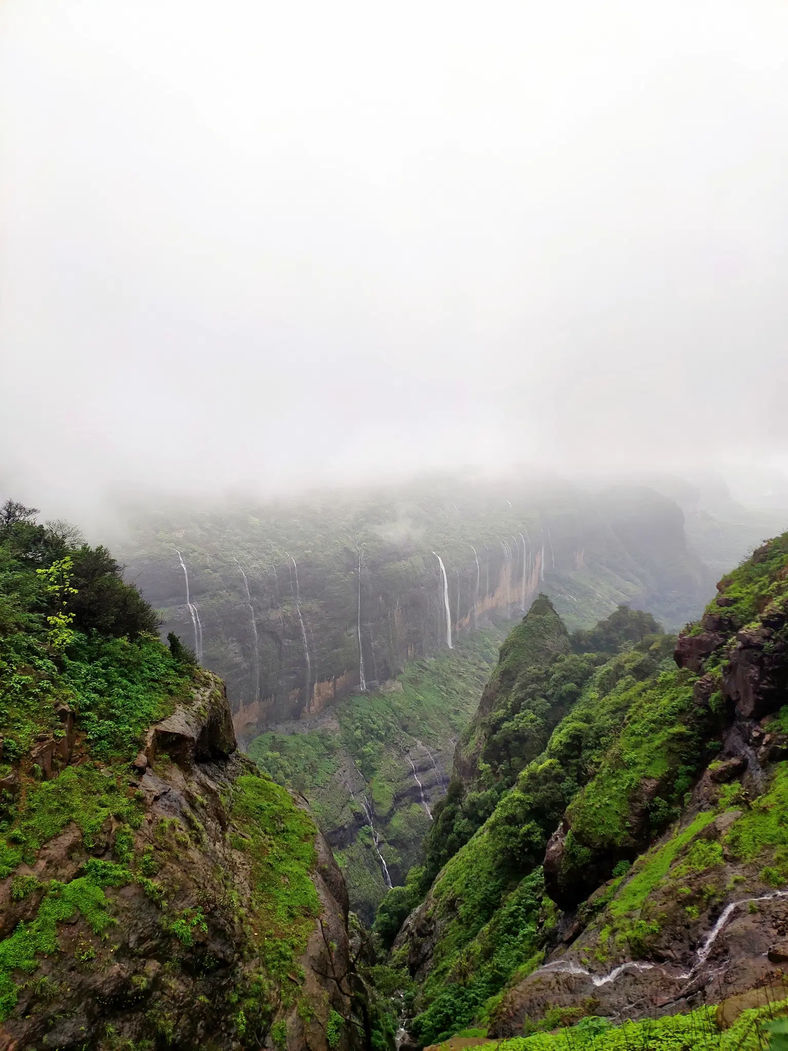 Photo from Divya Divya's trip