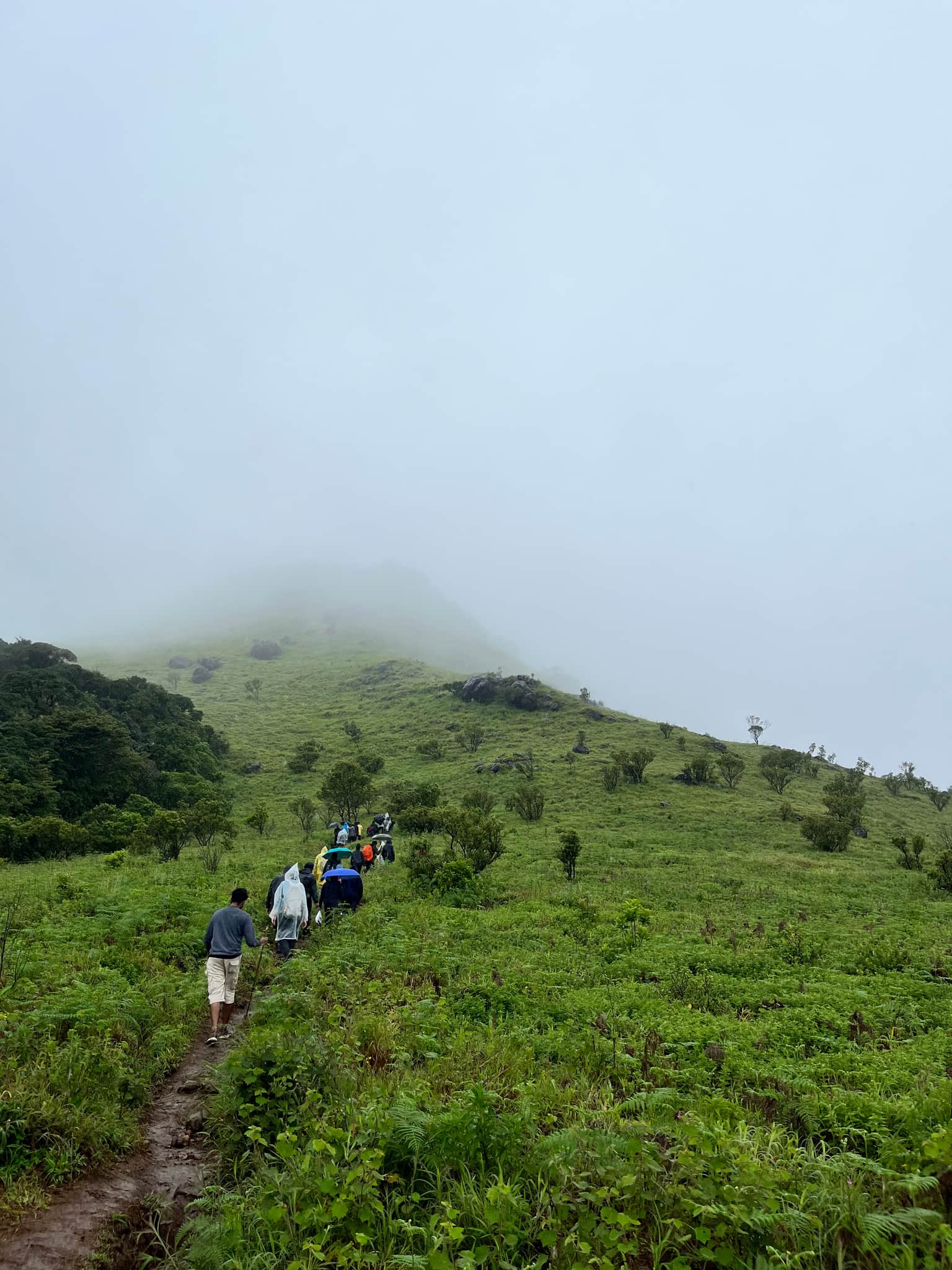 Photo from Vibha Kallianpur's trip