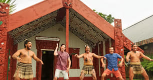 C3yoifcci0ce6p941746mnzkhbs3 1583751947 te puia2