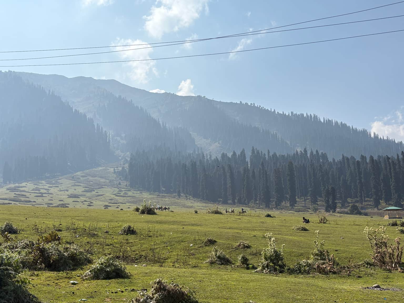 Photo from Molina Bose's trip