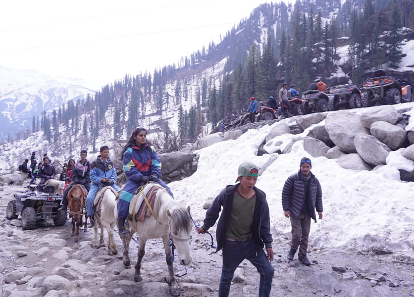 Horse Riding In Manali Image