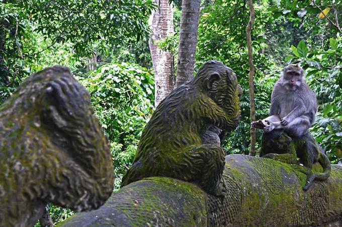 Sacred Monkey Forest Sanctuary