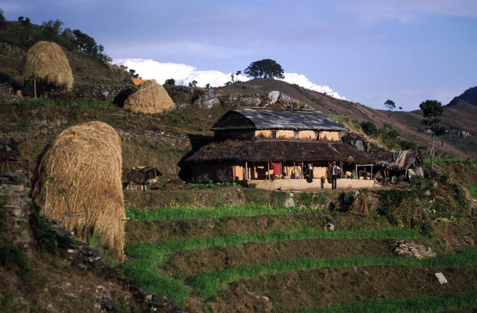 Sarangkot