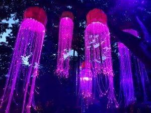 Lights of Aiyana