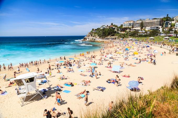 Coogee Beach Sydney Beaches