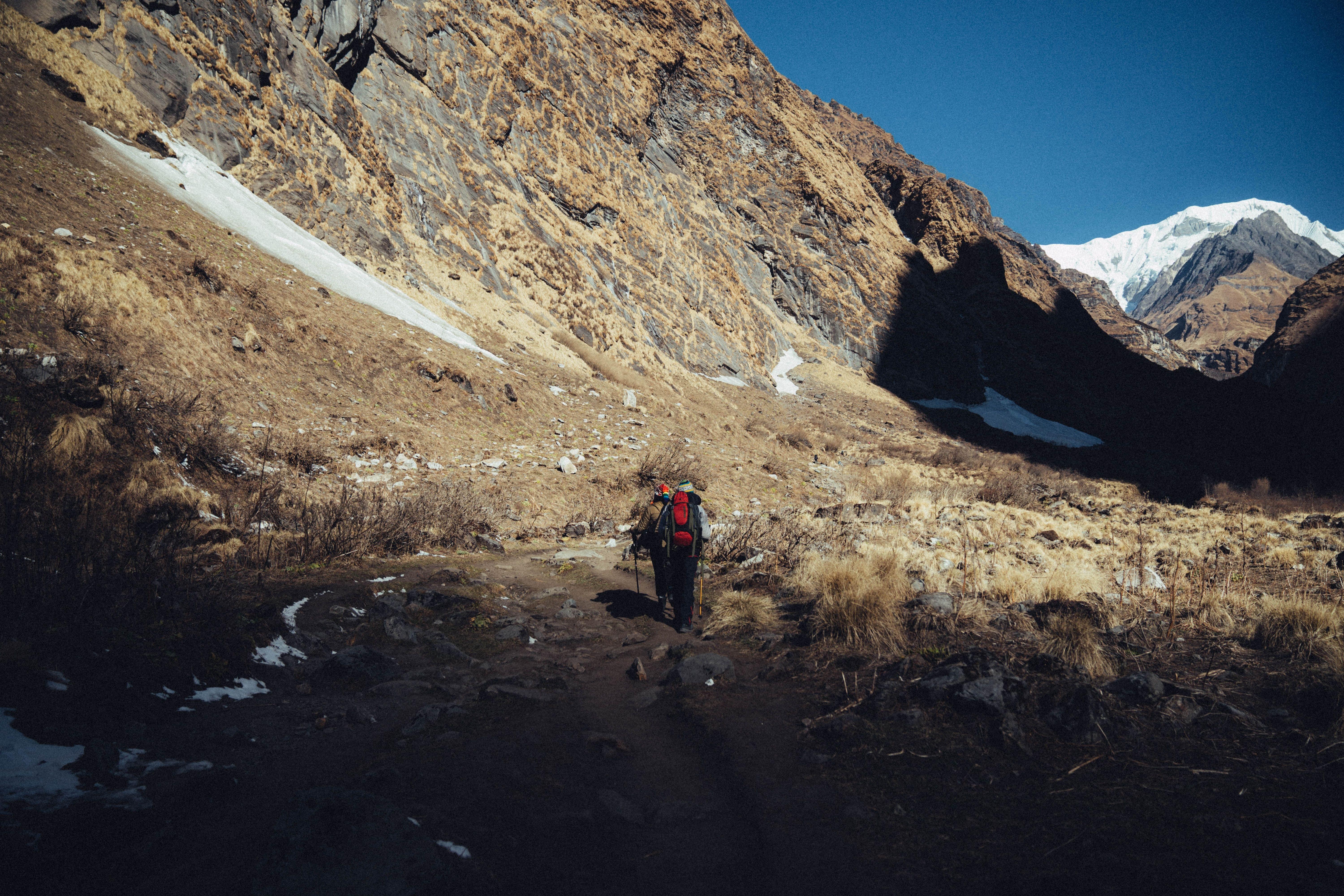 Rudranath Trek