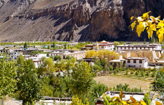 C5p20q1sq7lanaqfliz9o6ap0cps 1582102906 tabo