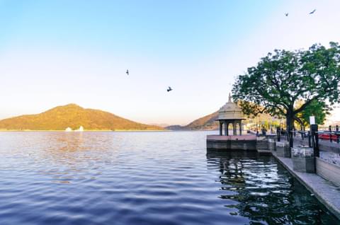 Activity & SightSeeing Image