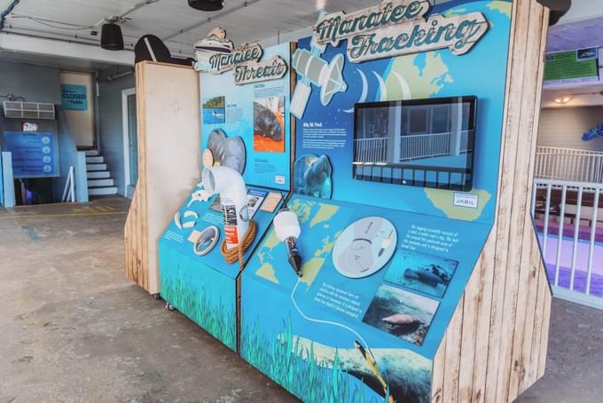 Manatee Ecosystem Exhibit