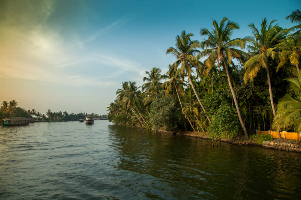 Alleppey’s Backwaters