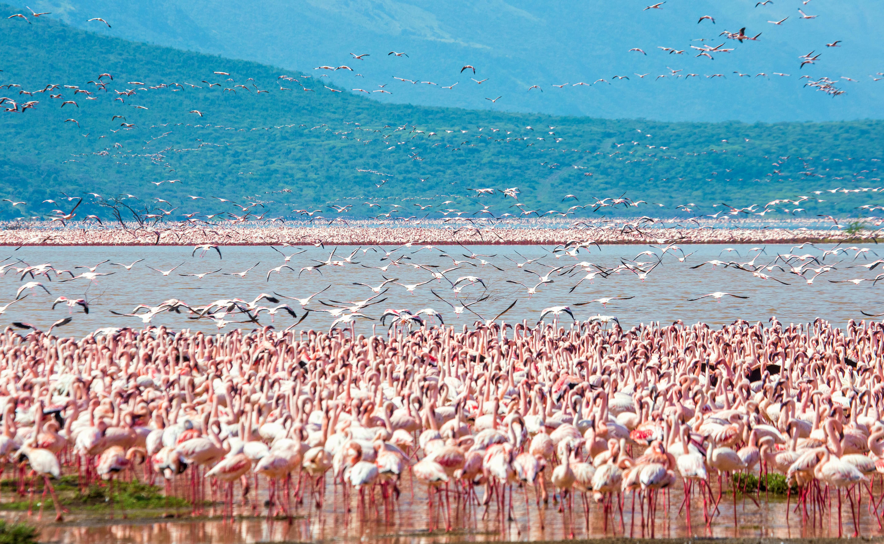 Lake Nakuru Overview