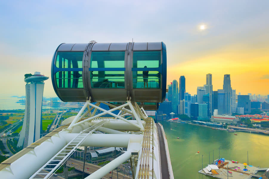 Combo Offer: Singapore Flyer and Gardens by the Bay Image