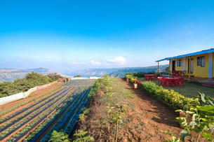 C6aoirnsm5f9ot1yge6q5o98d9yb 1562745553 5cfefb0151c6be2cf541b6b1 1560214273798