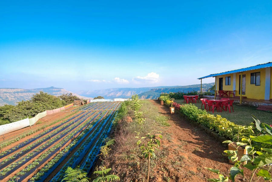 Hilltop Homestay Amidst The Majestic Valley In Mahabaleshwar Image