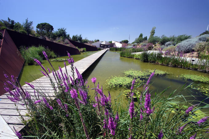 Botanical Gardens in Barcelona