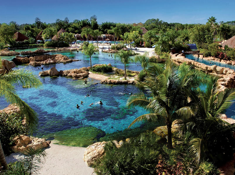 Discovery Cove Tickets Image