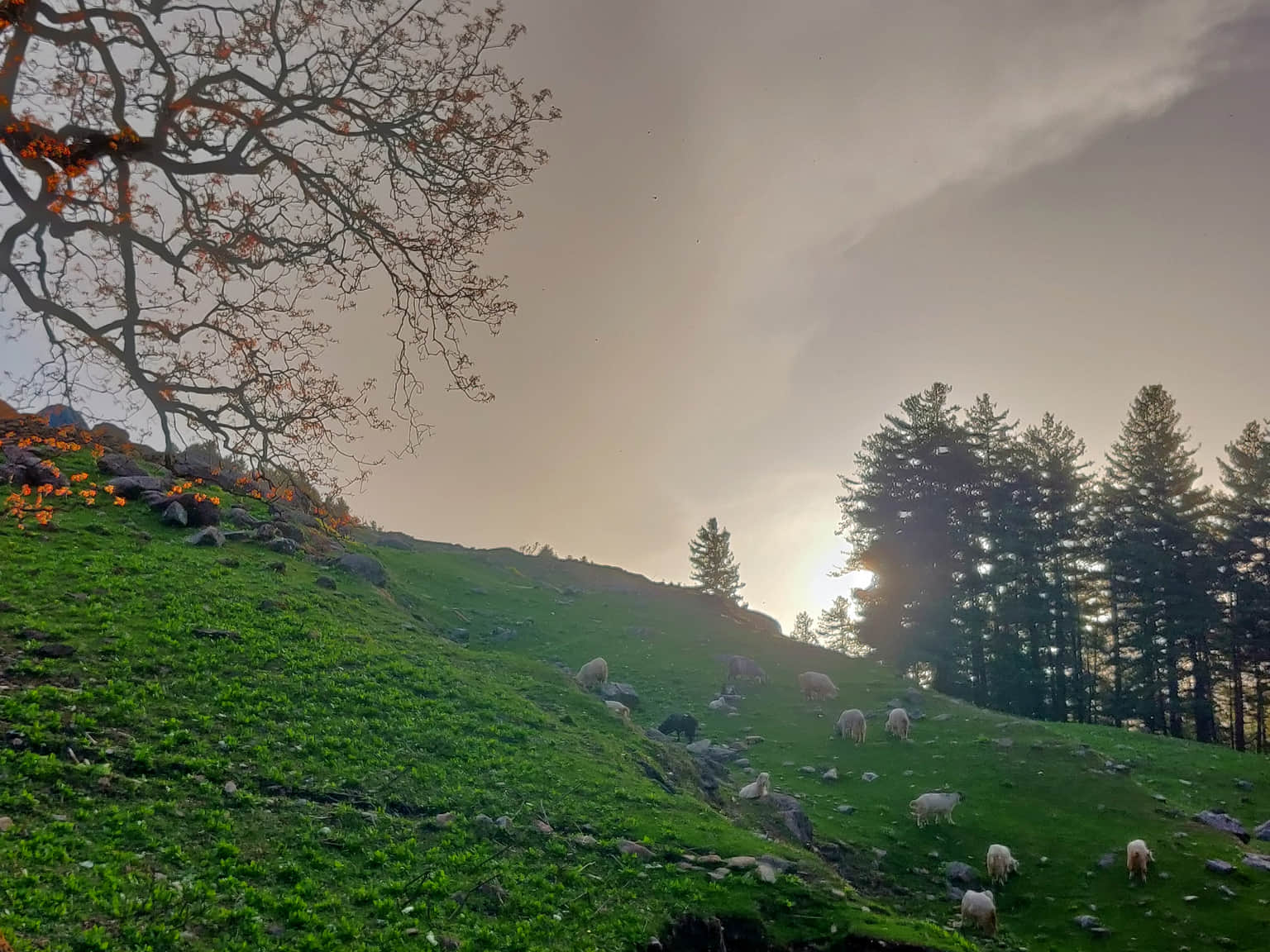 Photo from Neha Waghmare's trip