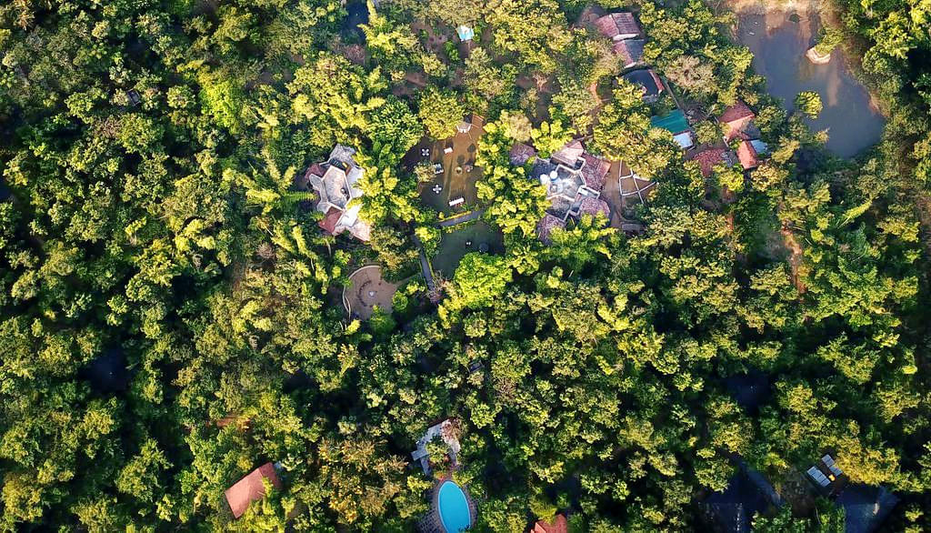 Kanha Jungle Camp  Image