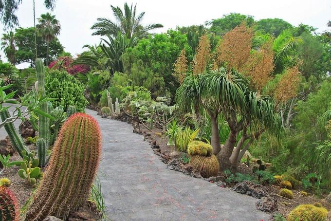 Tenerife Jungle Park