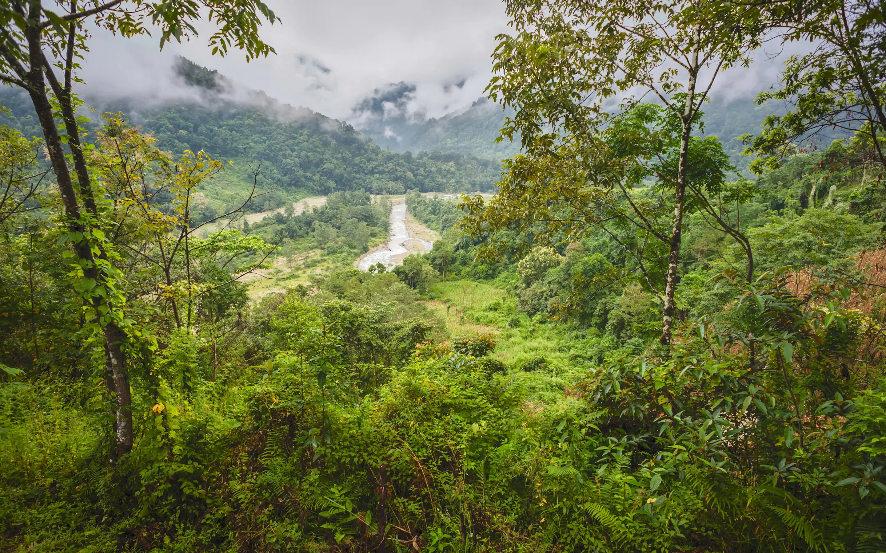 Arunachal Pradesh Holiday Packages from Hyderabad