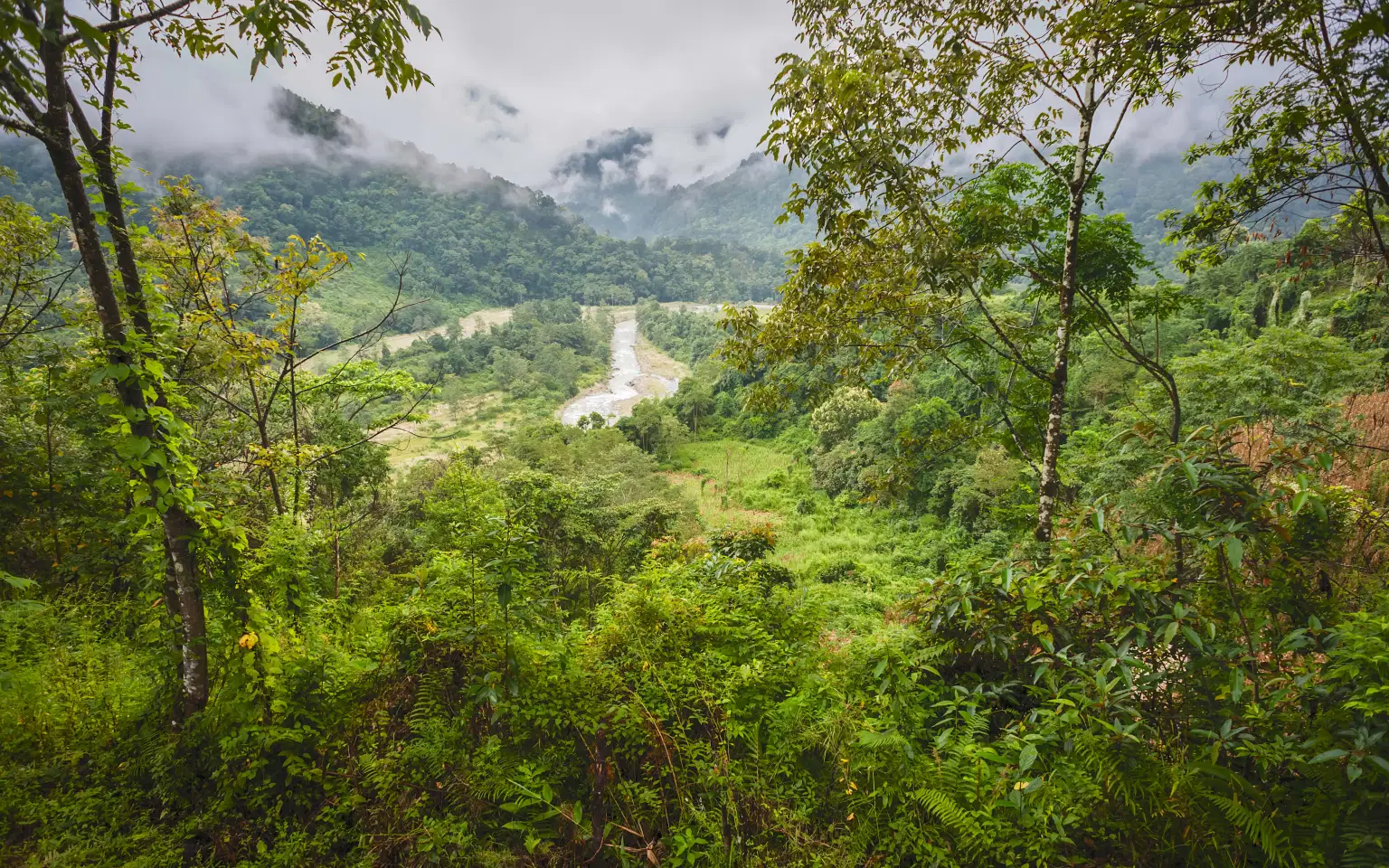 <em>Arunachal Pradesh</em> Tour Packages From Mumbai 