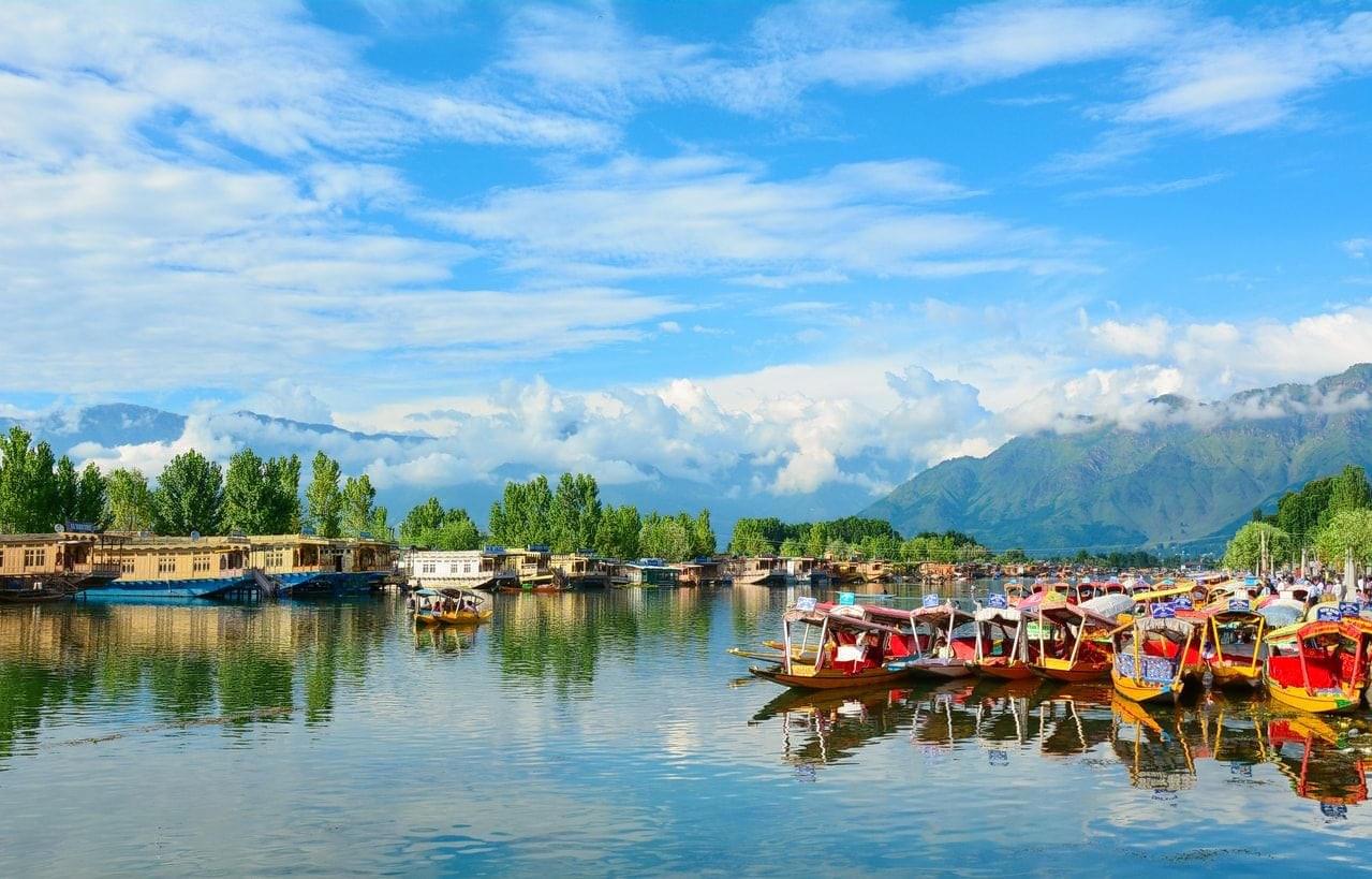 Admire the Views of Dal Lake
