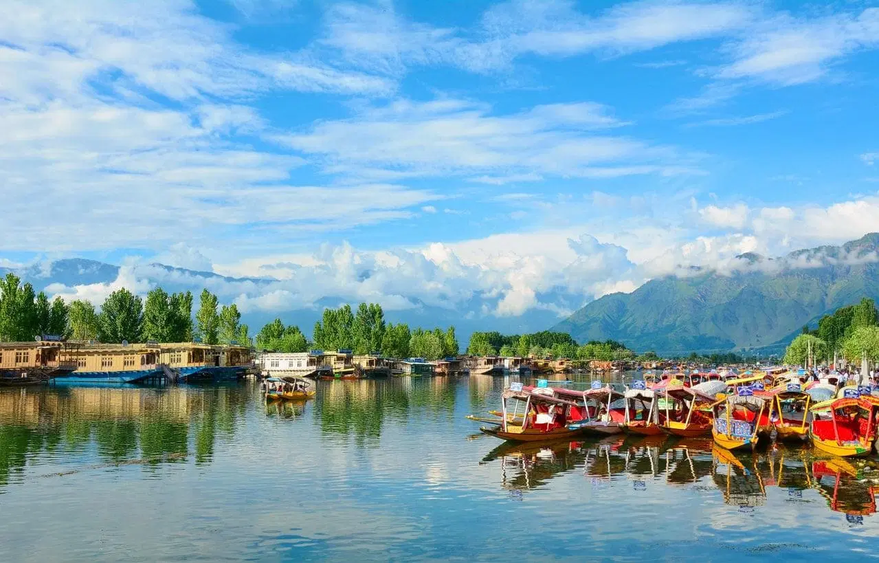 Admire the Views of Dal Lake