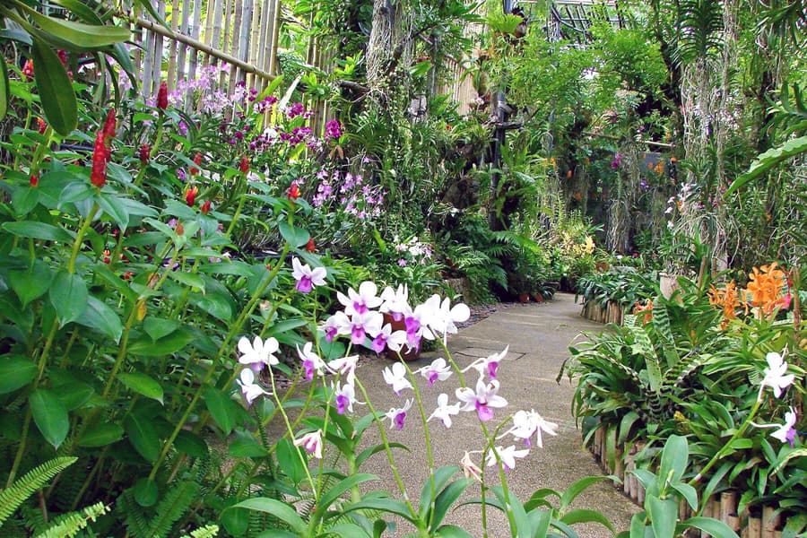 Phuket Botanic Garden Admission Ticket Image