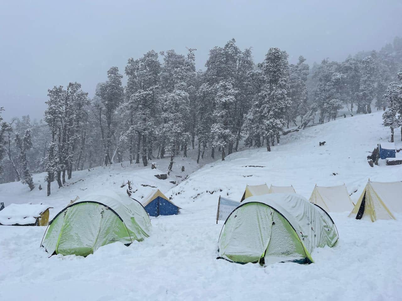 Photo from Shilpi 's trip