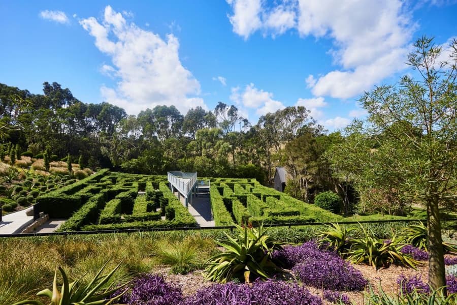 Enchanted Adventure Tickets Image