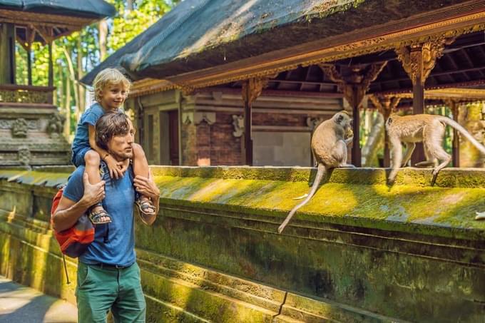 Ubud Monkey Forest.jpg