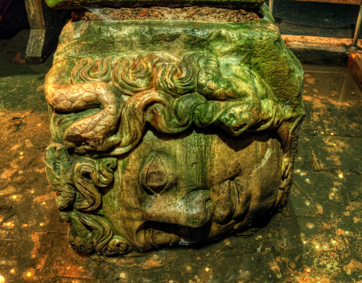 Marvel at the Medusa Heads