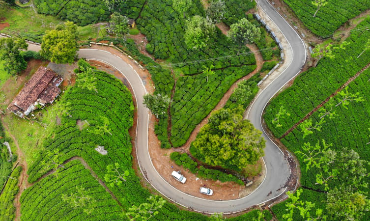 A perfect retreat amidst the hills - Ooty, a delight for every traveler