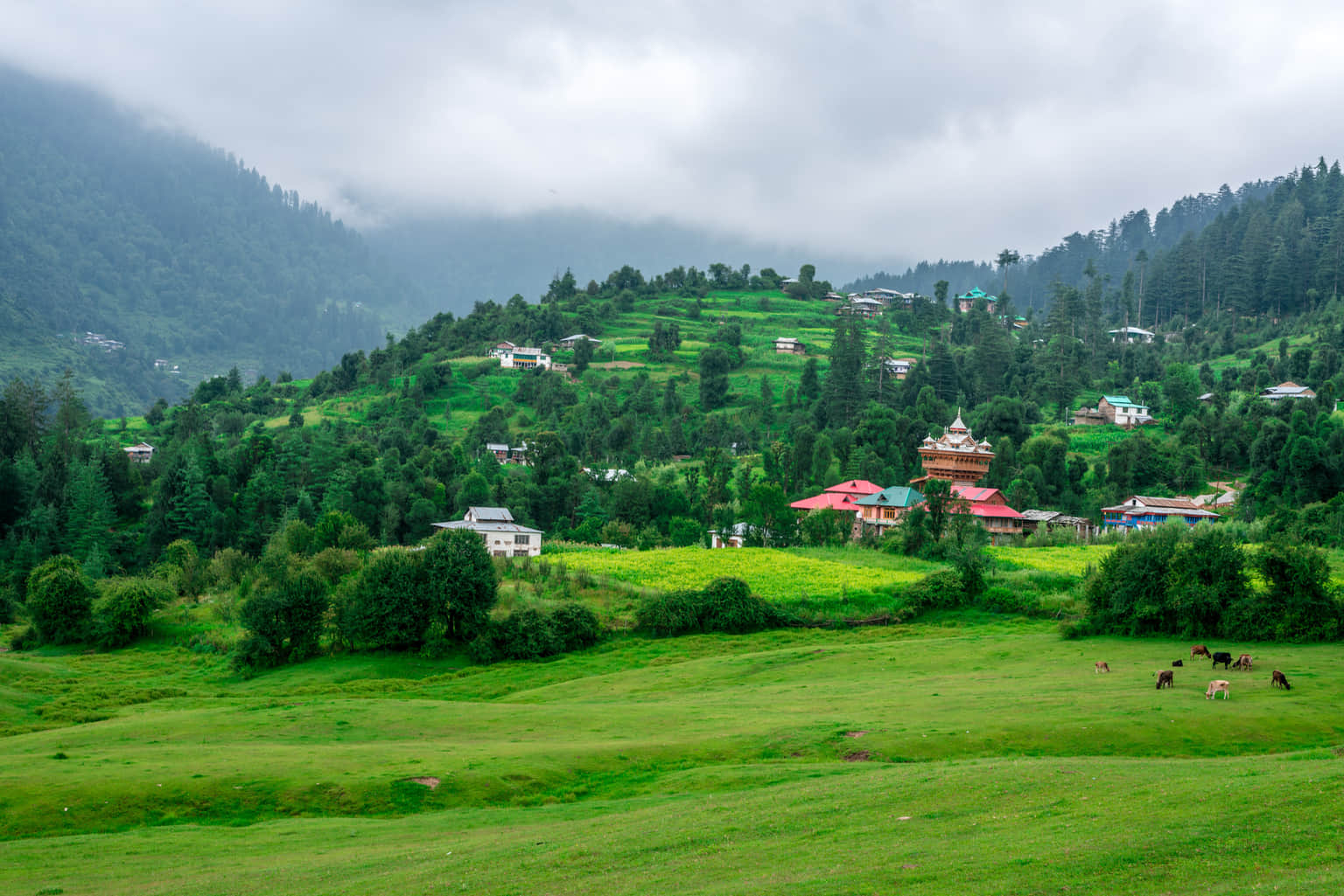 <em>Kullu</em> Tour Packages From Jaipur 
