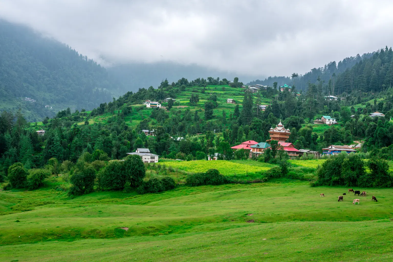 <em>Kullu</em> Tour Packages From Raipur