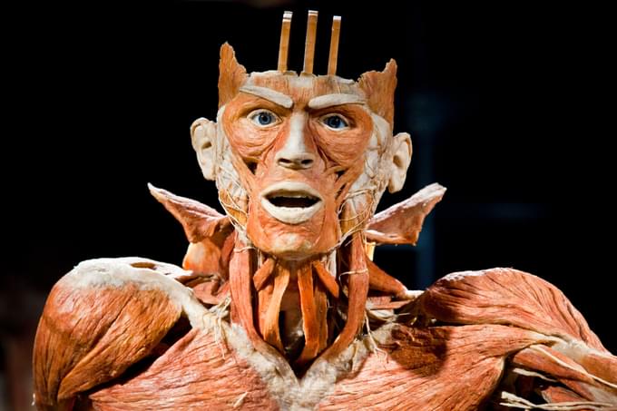 Body Worlds Amsterdam