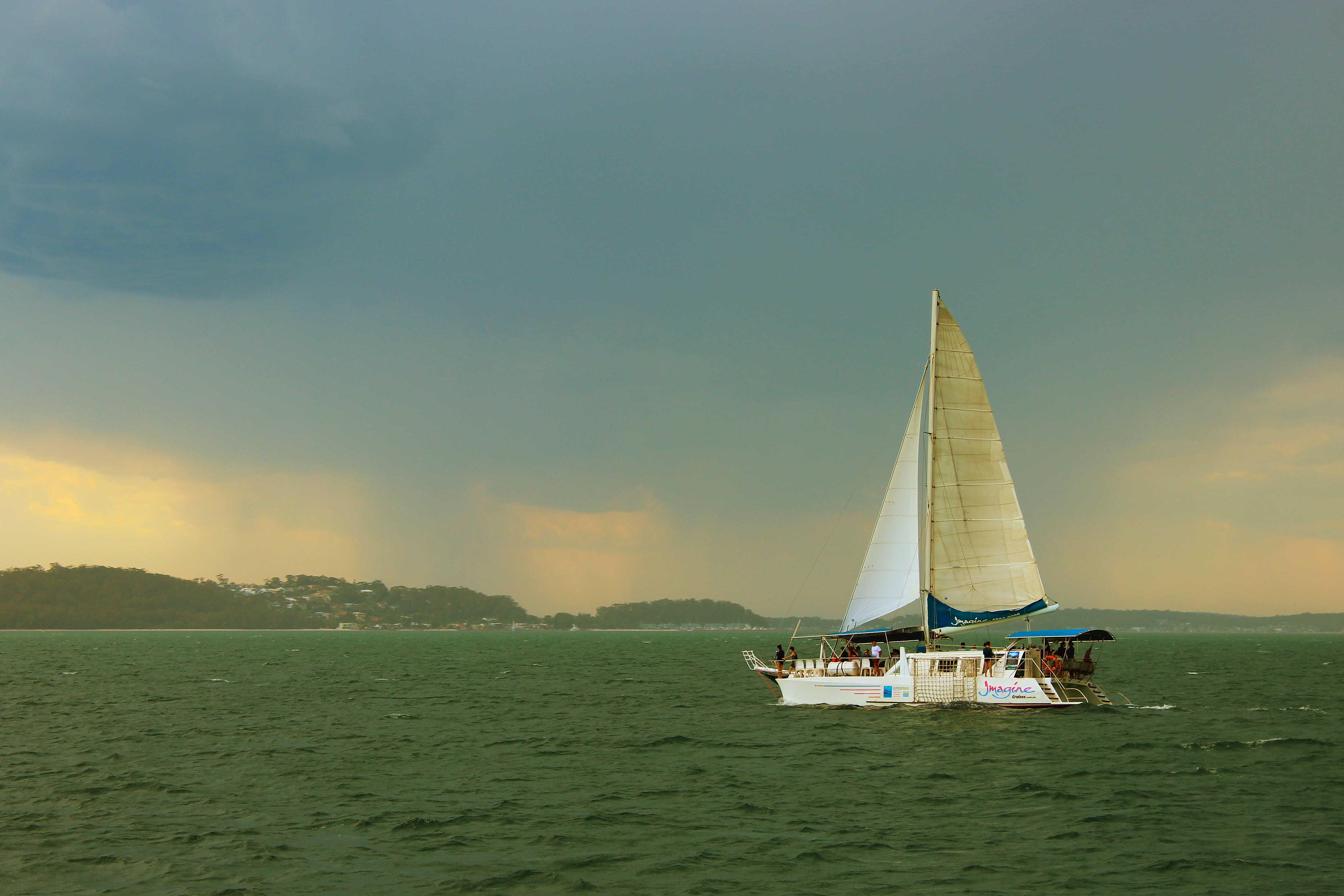 Scenic view of a dolphin watching cruise boat Port Stephens