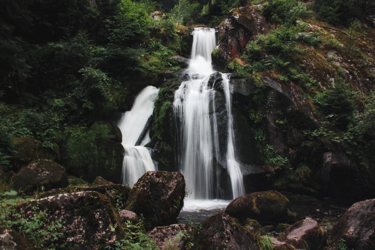 Explore the cascading Triberg Waterfalls