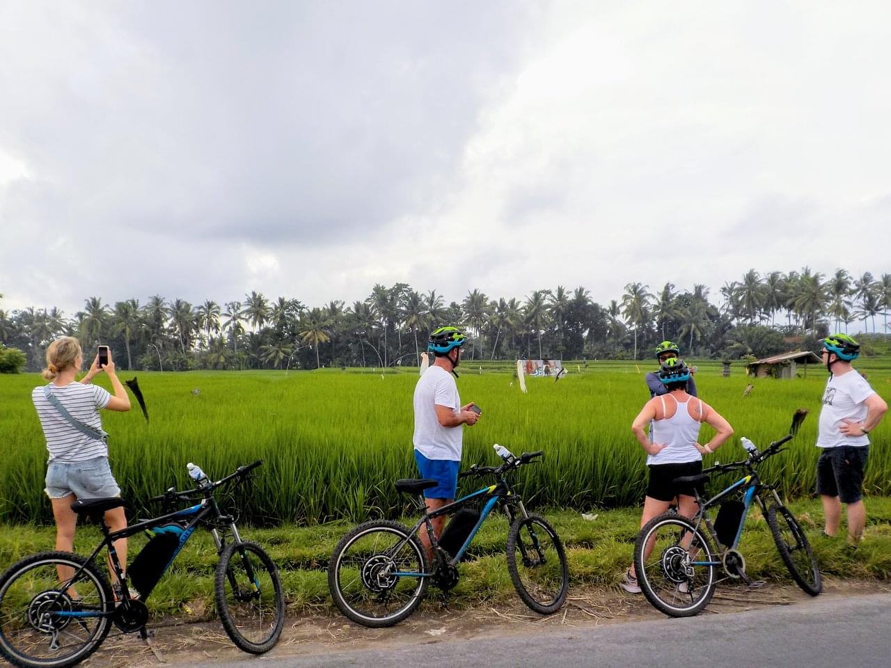 Electric bike online bali