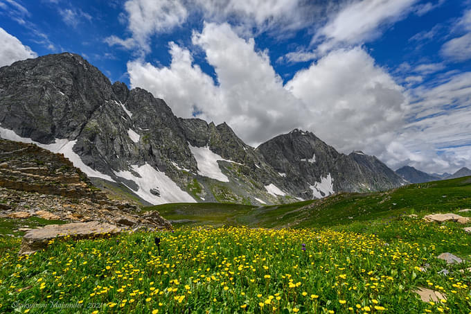 Valley of Flowers Trek