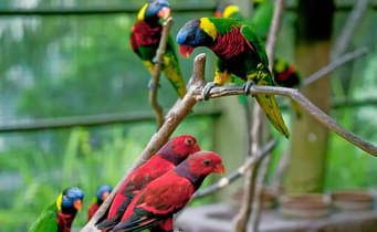 Cbxdwgldziy4qtpmph8sannv36pm 1549607082 majathal sanctary