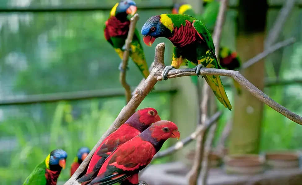Majathal Sanctuary