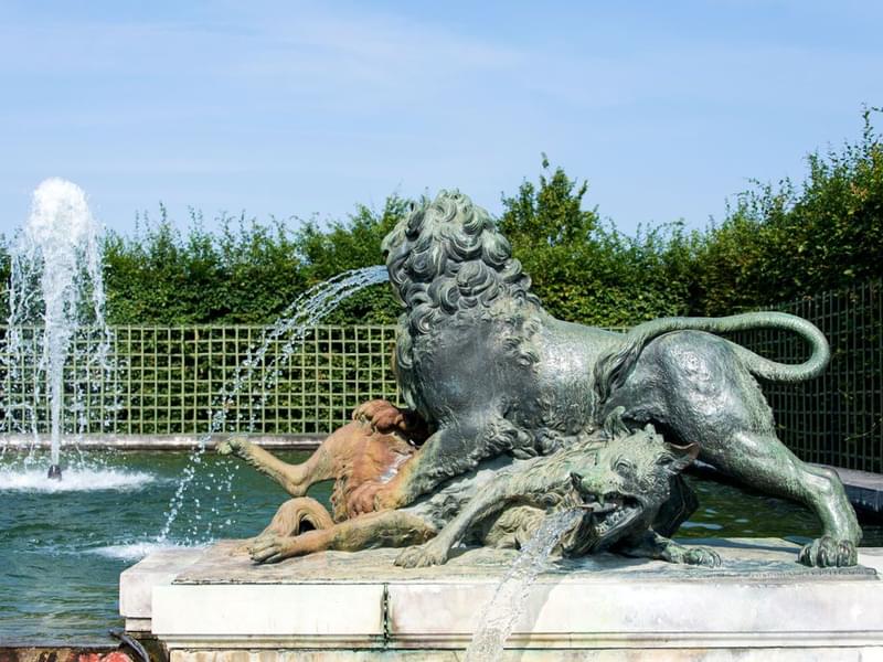 Fountains of the fight of the animals