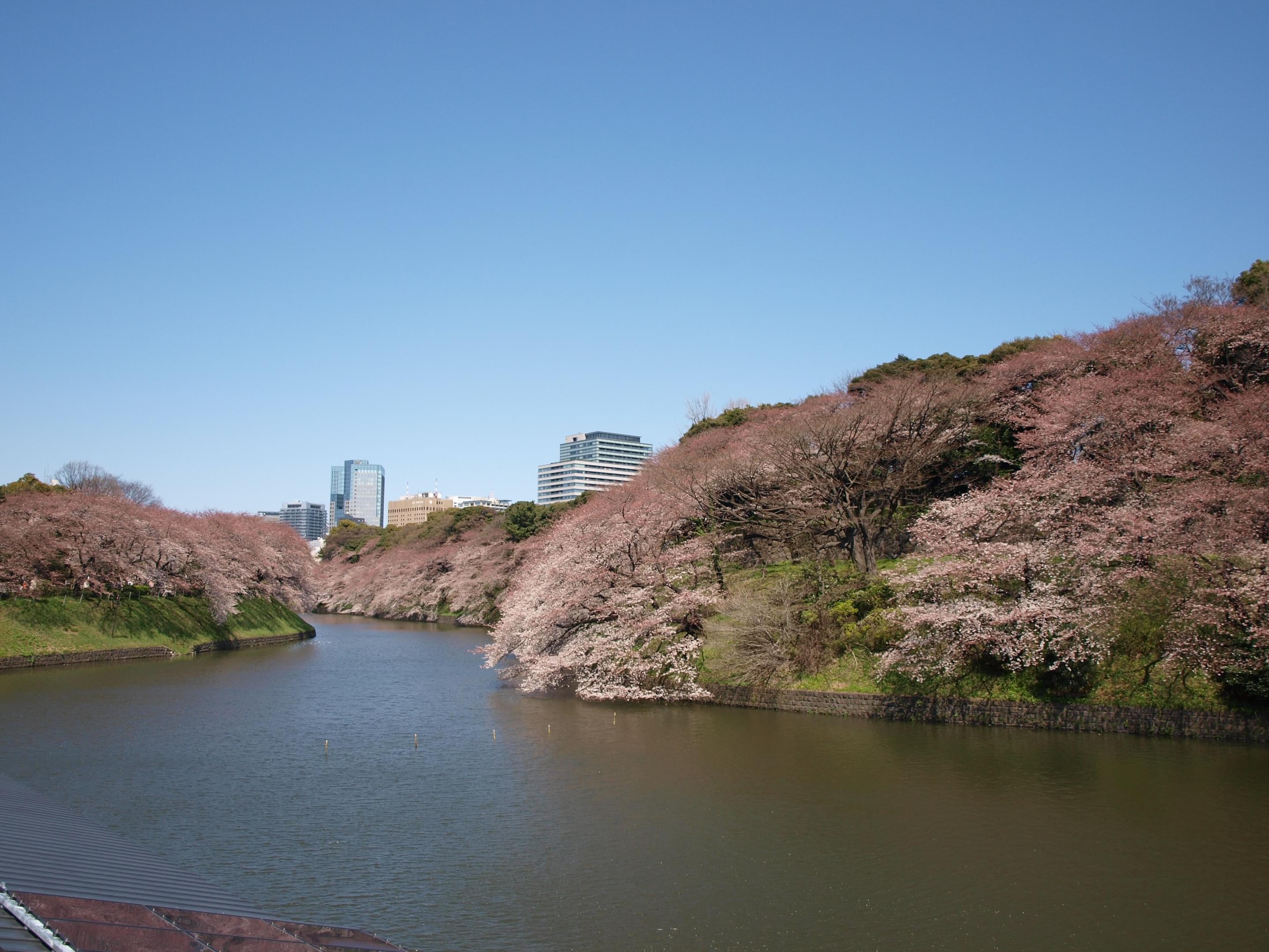 Chidorigafuchi Overview