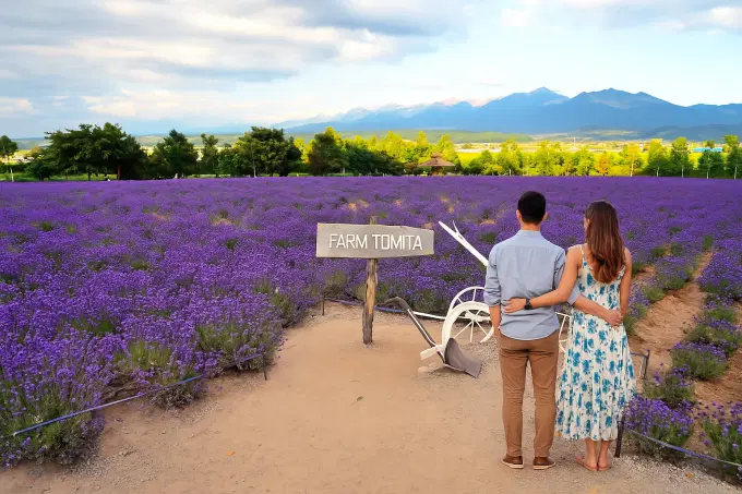 Marvel at the beauty of the lush lavender-filled fields of Farm Tomita