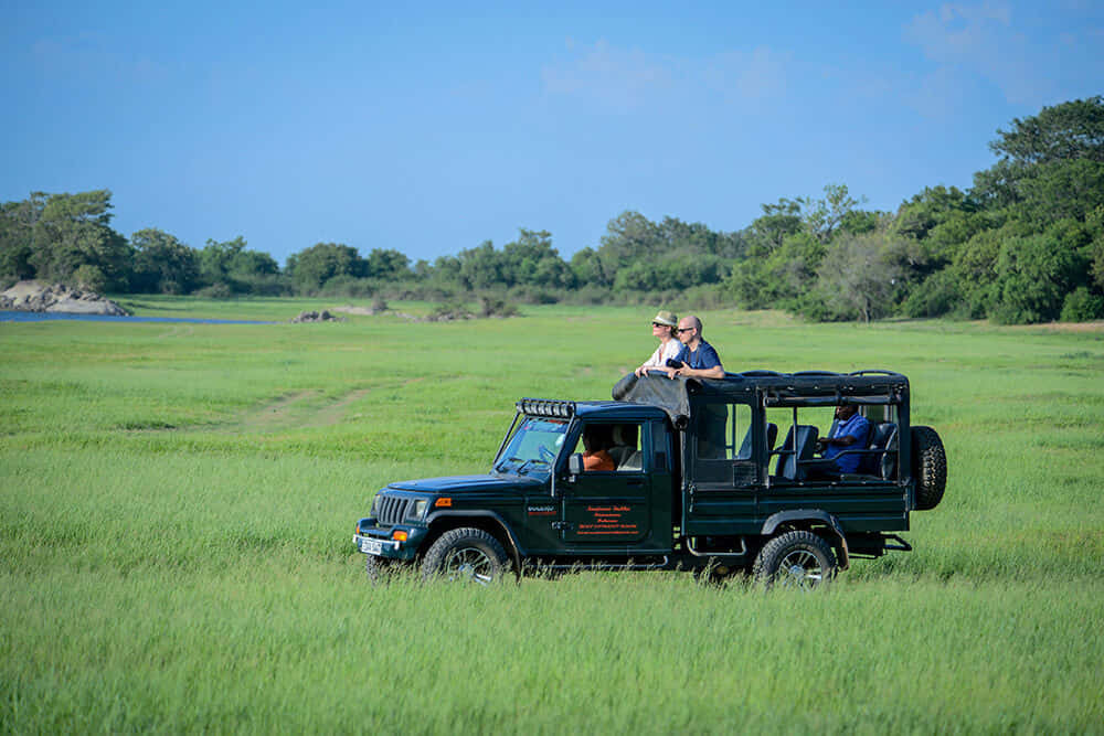 Wilpattu National Park Jeep Safari From Anuradhapura