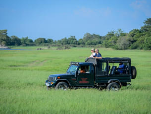 Go for the exciting Jungle Safari at Wilpattu National Park 