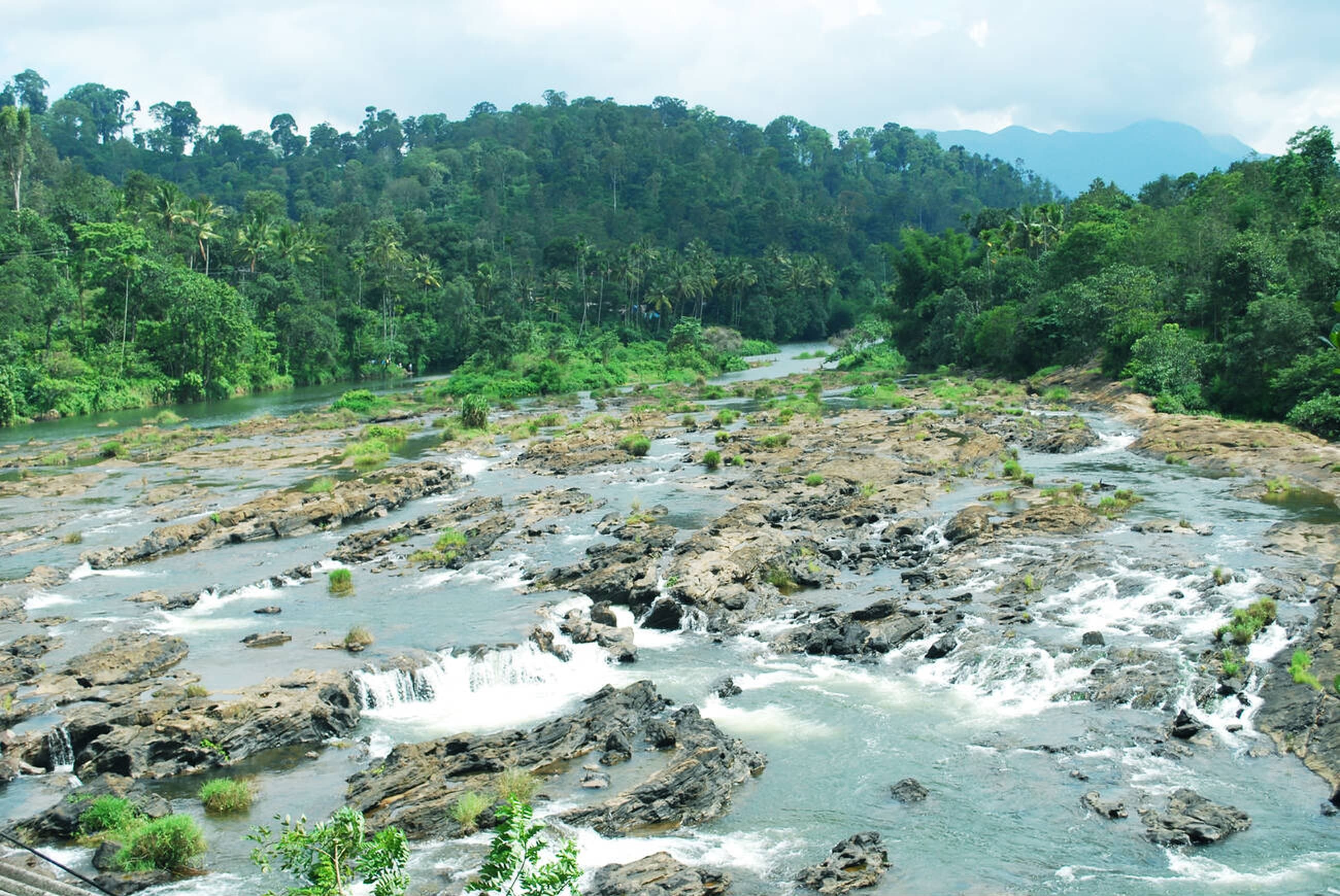 Sit by the Periyar River