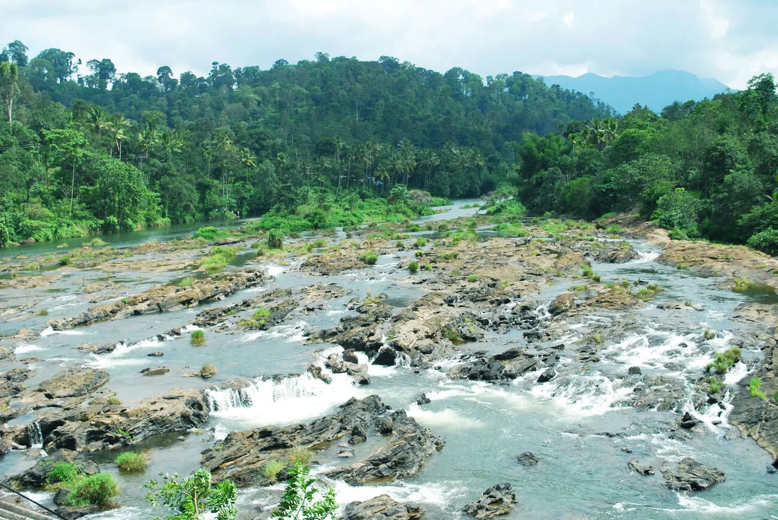 Sit by the Periyar River