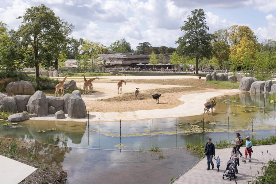 Explore the stretched landscape to watch the different species of wildlife in the park